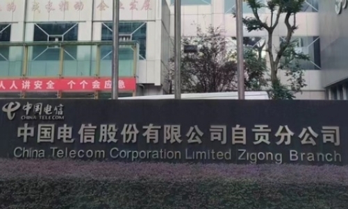 中國電信自貢分公司IT維保項(xiàng)目